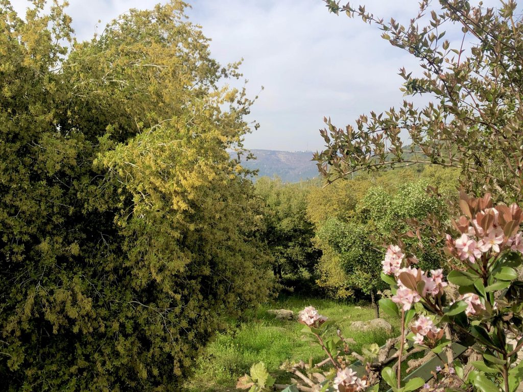 הרי ירושלים